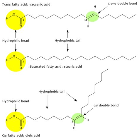 hydrogenated fats are similar to